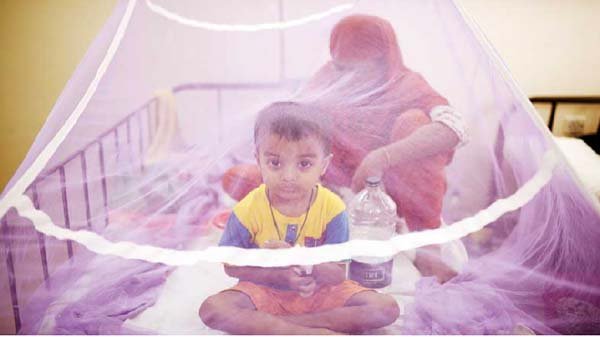 শিশুদের সামনে বিপদ হয়ে আসছে ডেঙ্গি