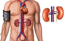 আপনার কিডনী সুস্থ রাখতে যা যা করণীয়