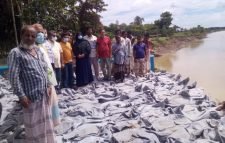 রুস্তমপুরে সুরমা নদীর ভয়াবহ নদীভাঙ্গন