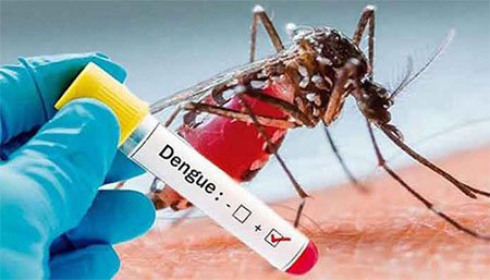 ৩১৫ জন নতুন ডেঙ্গু রোগী হাসপাতালে ভর্তি, শিশুরাই বেশি