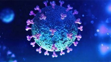 করোনায় আরও ৩৮ জনের মৃত্যু