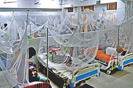 সেপ্টেম্বরের ১৪ দিনে ৪১৫৩ জন ডেঙ্গু রোগী হাসপাতালে ভর্তি