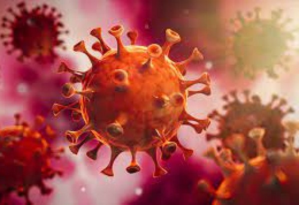 ২৪ ঘন্টায় সিলেটে ১ জনের মৃত্যু