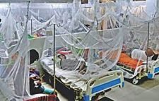 ১৯৪ জন নতুন ডেঙ্গু রোগী হাসপাতালে ভর্তি