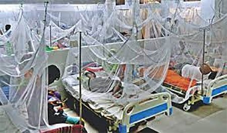 ১৯৪ জন নতুন ডেঙ্গু রোগী হাসপাতালে ভর্তি