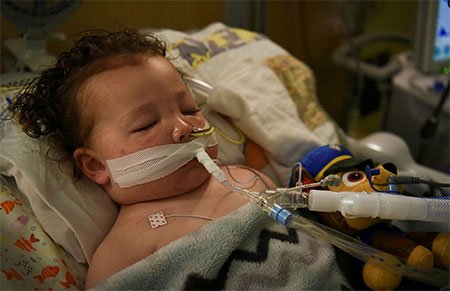 দুই বছরের জেমস এর জন্য কাঁদছে নেটিজেনরা