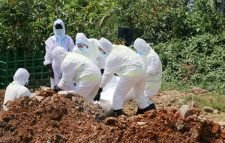 করোনায় আরও ১২ জনের মৃত্যু