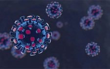 করোনায় আরও ১৪ জনের মৃত্যু