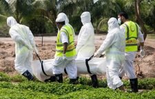 করোনায় আরও ১১ জনের মৃত্যু