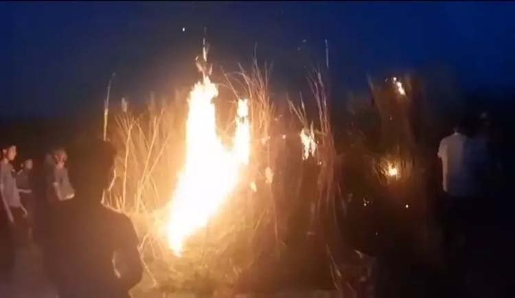 গোলাপগঞ্জের সেই কাশবন আগুনে পুড়ে ছাই