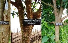গাছে পেরেক দিয়ে দোয়া লাগানো কি জায়েজ?