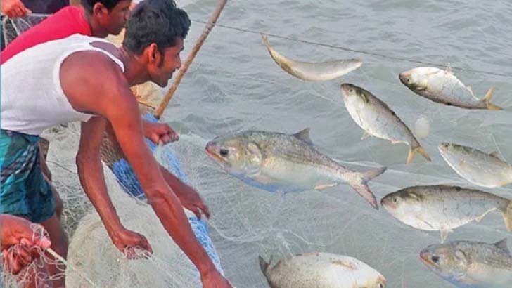 মধ্যরাত থেকে ইলিশ ধরা শুরু