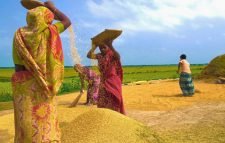 প্রকৃতিতে হেমন্তের আগমন