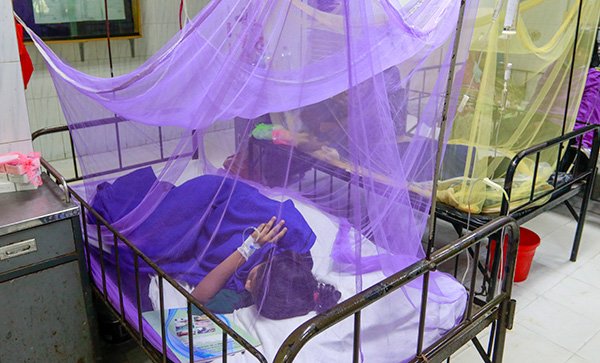 ৭৫ জন নতুন ডেঙ্গু রোগী হাসপাতালে ভর্তি