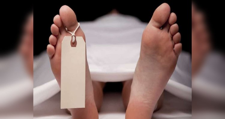 বেপরোয়া গতির বাসচাপায় বৃদ্ধ নিহত