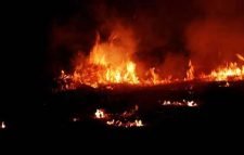 নাইজারে শ্রেণিকক্ষে আগুনে পুড়ে ২৬ শিশুর মৃত্যু