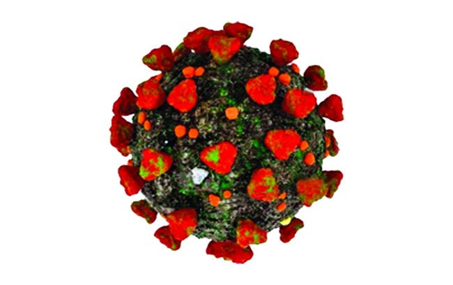 চোখ রাঙাচ্ছে ওমিক্রন, প্রস্তুতি সামান্য