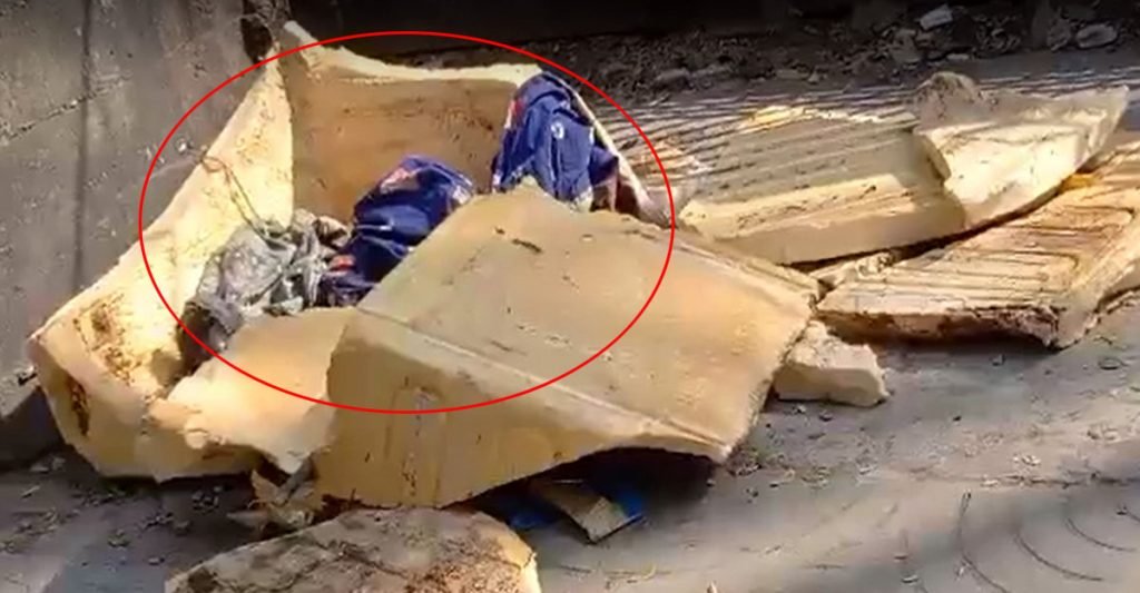 রাস্তার পাশে পড়েছিল দুই নবজাতকের মরদেহ