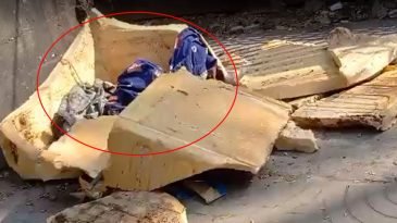 রাস্তার পাশে পড়েছিল দুই নবজাতকের মরদেহ