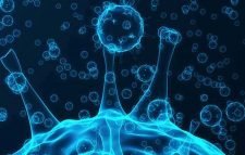 করোনায় ১৯ জনের মৃত্যু, শনাক্ত ৪৬৯২