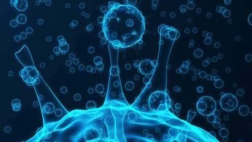 করোনাভাইরাসে গত ২৪ ঘণ্টায় ২৪ জনের মৃত্যু হয়েছে