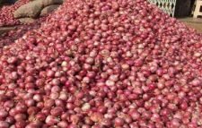 ঈদ পর্যন্ত পেঁয়াজ আমদানির অনুমতি চেয়ে চিঠি