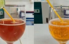 চা থেকে টি-কোলা: শাবিপ্রবি গবেষকদের উদ্ভাবন