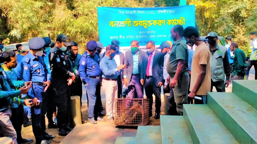 লাউয়াছড়ায় সচেতনতামূলক কর্মসূচির মধ্যদিয়ে বিশ্ব বন্যপ্রাণি দিবস পালিত