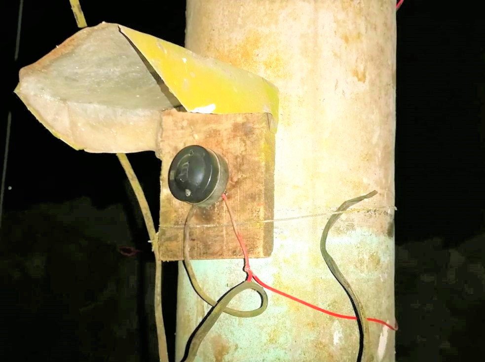 বড়লেখায় বিয়ে বাড়িতে অবৈধ বিদ্যুতে জাঁকজমকপূর্ণ লাইটিং!