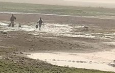 হাকালুকি হাওরের অভয়াশ্রম ও ইজারাকৃত মৎস্য বিল শুকিয়ে মাছ আহরণ