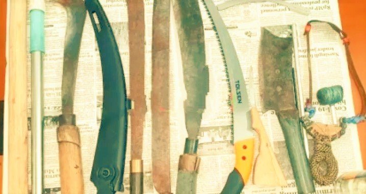 শাহীবাগ এলাকার থেকে অস্ত্রসহ ২ ডাকাতকে গ্রেপ্তার