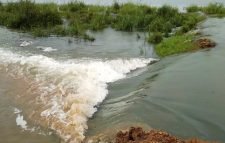 হাওরে ফের ঢলের শঙ্কা, বাড়বে ফসল নিয়ে ঝুঁকি