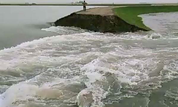 বাঁধ ভেঙে সুনামগঞ্জে ছায়ার হাওরে ঢুকছে পানি