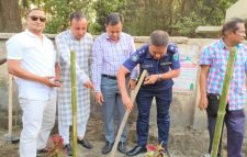 হাসপাতালের সামনে পৌরসভার উদ্যেগে ফুলের বাগান