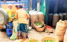 লেবুর চাহিদা বেশি, দামও বাড়তি