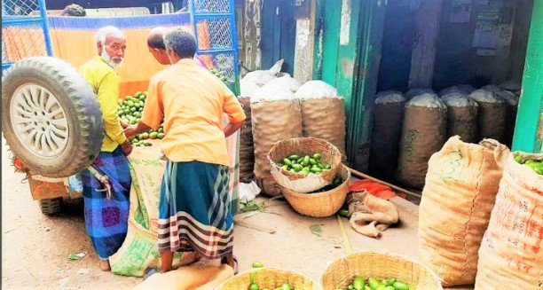 লেবুর চাহিদা বেশি, দামও বাড়তি