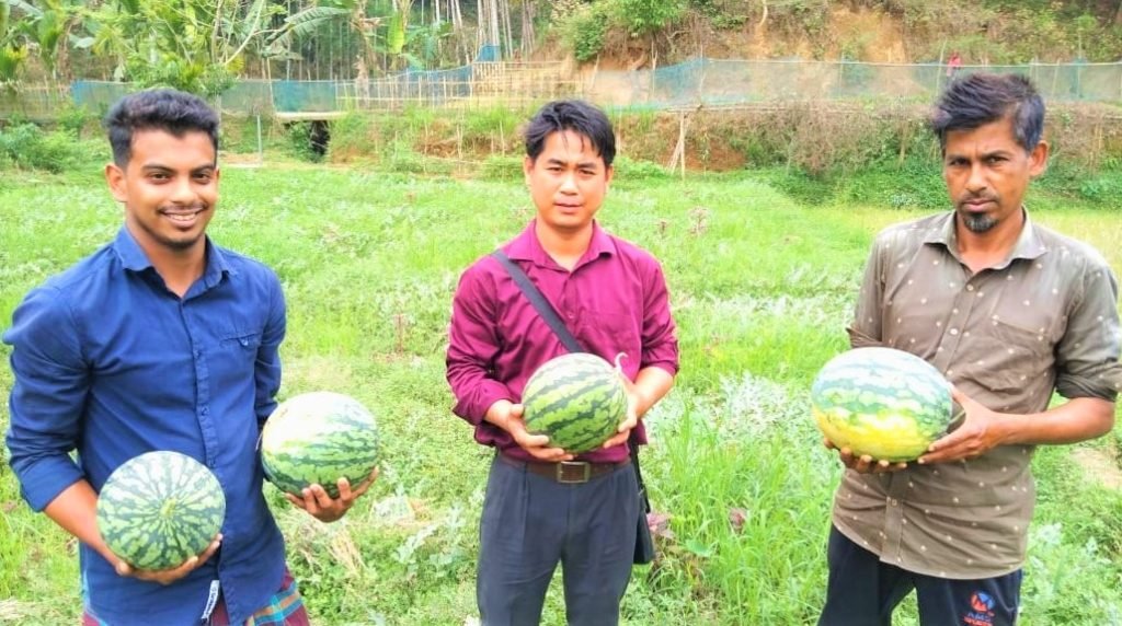 ইউটিউব দেখে হলুদ তরমুজ চাষে শখ জাগে খোর্শেদের  