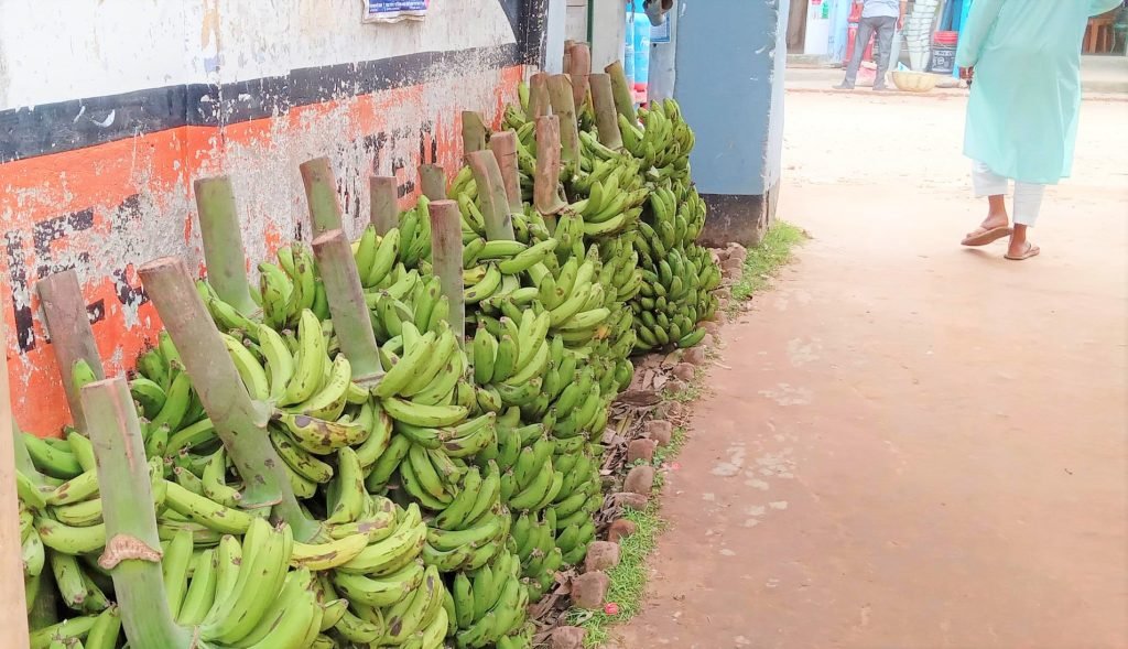 রমজান শুরুর পর কলার দাম আকাশছোঁয়া; রোজদারীরা দিশেহারা