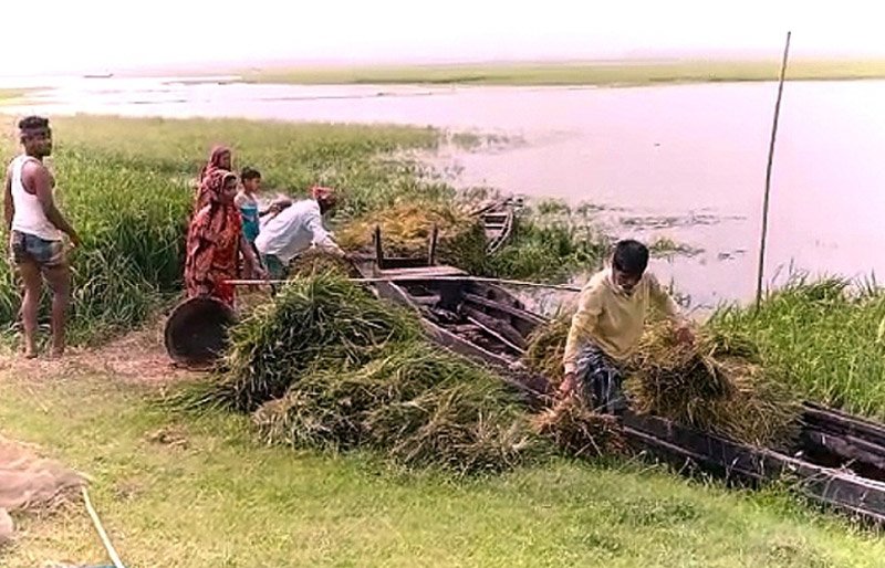 তাহিরপুরে বাঁধ ভাঙ্গার আতঙ্কে হাওরবাসী