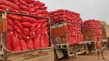 ভারত থেকে পেঁয়াজ আসা বন্ধ