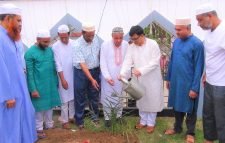 সৈয়দ শাহ মোস্তফা (র:) পৌর ঈদগাহের খেঁজুর গাছের চারা রোপন