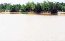 কমলগঞ্জে বন্যার পানিতে তলিয়ে গেছে ৫০০ হেক্টর জমির ফসল
