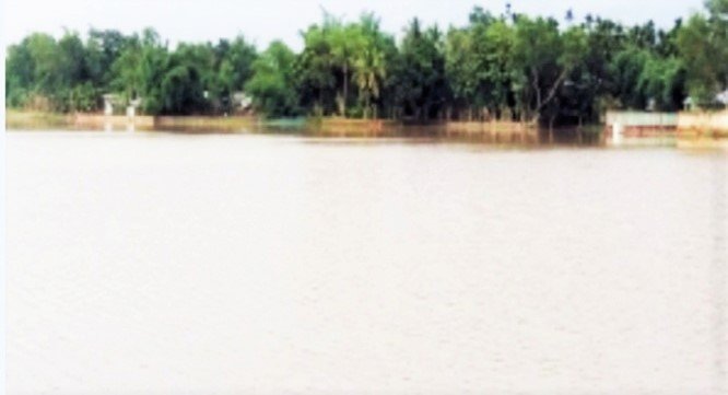 কমলগঞ্জে বন্যার পানিতে তলিয়ে গেছে ৫০০ হেক্টর জমির ফসল