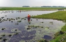 দোয়ারাবাজারে পানি বৃদ্ধি অব্যাহত : আগাম বন্যার আশঙ্কা