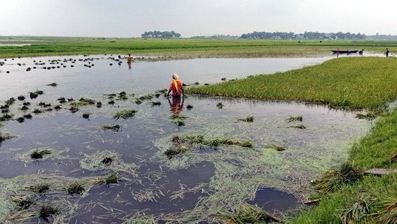 দোয়ারাবাজারে পানি বৃদ্ধি অব্যাহত : আগাম বন্যার আশঙ্কা