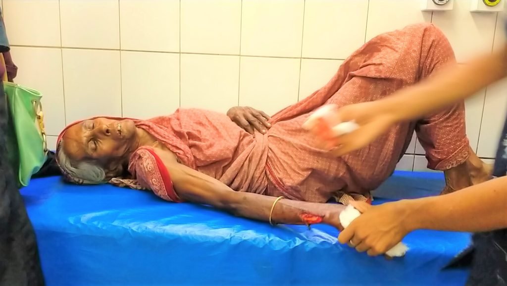 সন্ত্রাসী হামলায় বৃদ্বা নারীসহ আহত ২