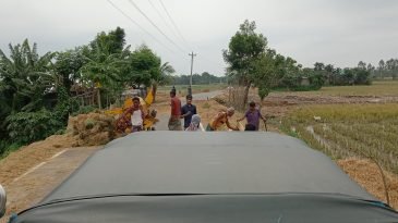 সরকারি সড়ক বন্ধ রেখে ধান মাড়াই,খড় শুকানো,ধান শুকানোর অভিযোগ