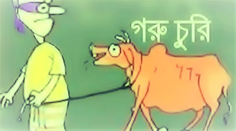  ১০ দিনের ব্যবধানে ১৩টি গরু চুরি