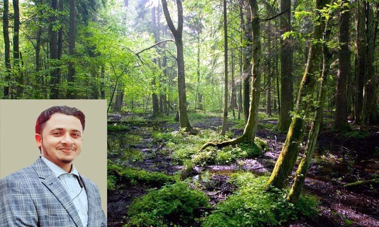 বৃক্ষ আমাদের পরম বন্ধু, আল্লাহর পক্ষ থেকে অমূল্য নেয়ামত