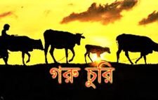 পুলিশের গোয়ালঘর থেকে ৩টি গরু চোরি